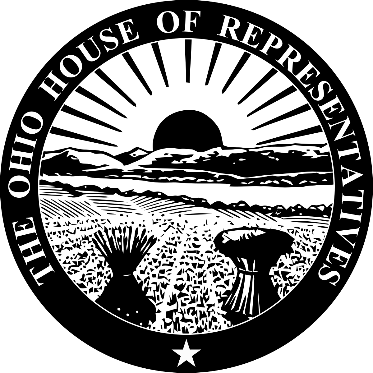 Government · LorainCounty.com